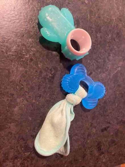 Photo of free Dog teething togs (Skyway) #1