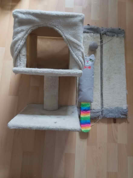 Photo of free Used cat items (SW15 Roehampton) #1