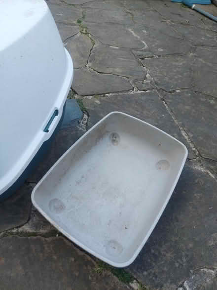 Photo of free Litter trays (SW16) #1