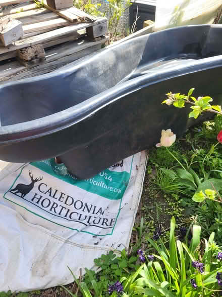 Photo of free Garden pond (Piershill EH8) #1