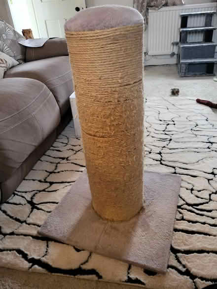 Photo of free Large cat scratching post and cat tower (Long Sutton PE12) #3