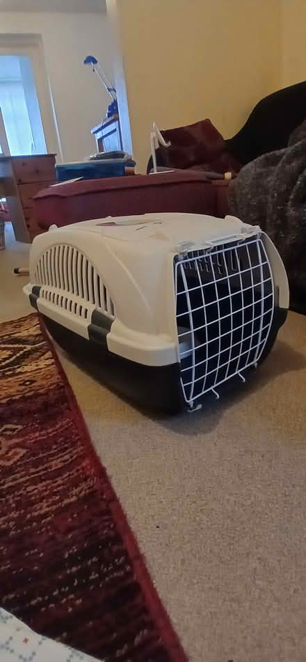 Photo of free Cat basket and dishes (EN3 6SL) #1