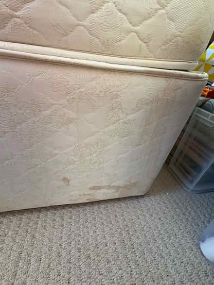 Photo of free Cream divan double bed (Hextable BR8) #3
