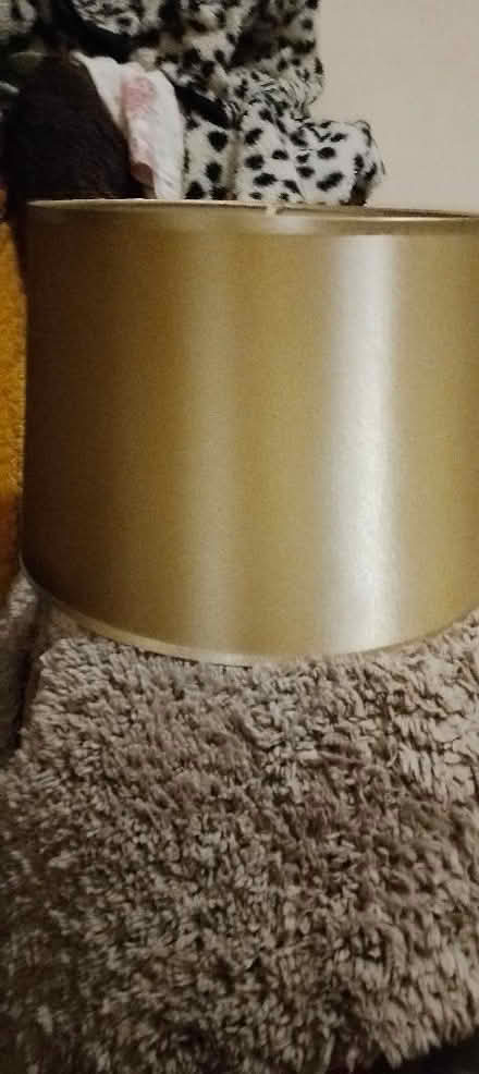 Photo of free Lamp shade (St Leonards TN38) #1