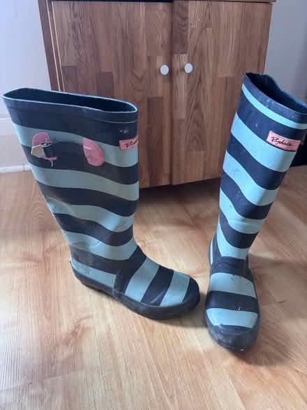 Photo of free Wellie boots (York) #1