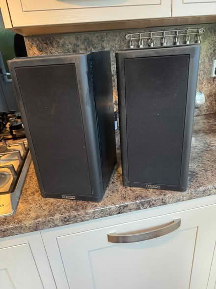 Photo of free 2 Mission speakers (The Dell SG5) #1