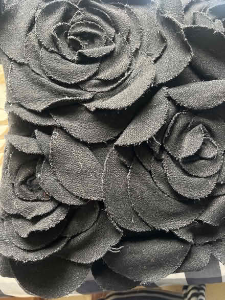 Photo of free 2 cushions (Isleworth TW7) #3