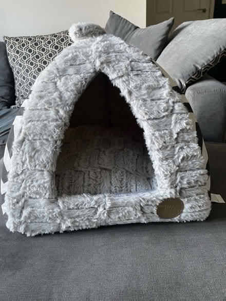 Photo of free Dog/cat bed (cosham po6 3fl) #1