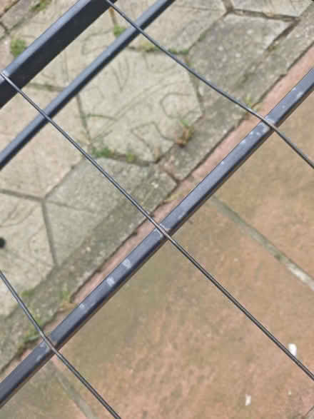 Photo of free Folding single bed (Custom house E16) #2