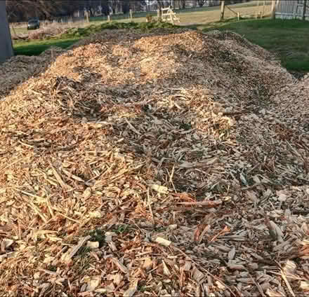 Photo of free wood chippings (Near Bridge of Don) #1
