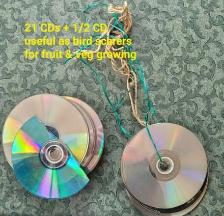 Photo of free Old CDs as bird scarers (Cookridge LS16) #1