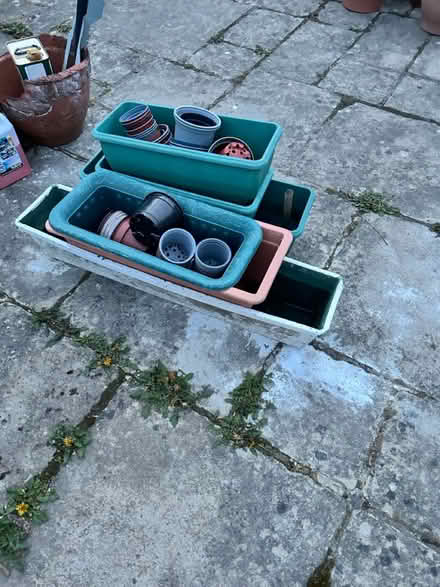 Photo of free Plant pots (Salisbury, SP2) #1
