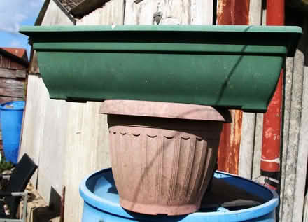 Photo of free Plastic planter pots (King's Lynn PE30) #1