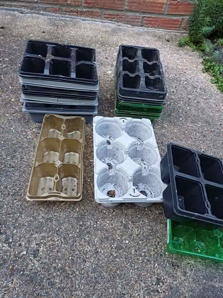 Photo of free New growing season! Plastic seed trays & odd size covers. (Bromham MK43) #1