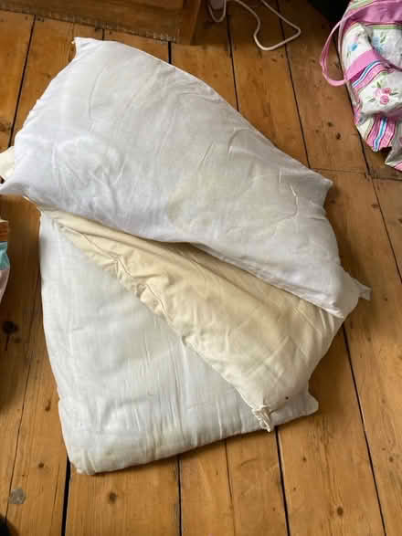 Photo of free Pillows For Crafting/Ssewing Projects (CT11) #1