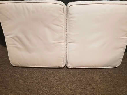 Photo of free 4 Garden chair cushions (Northallerton DL7 8TU) #2
