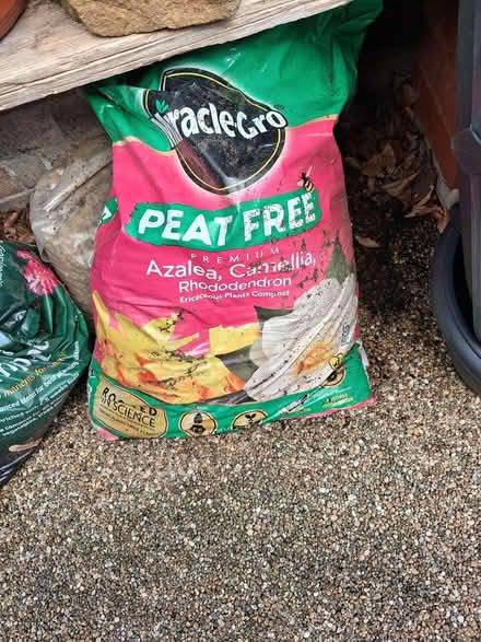 Photo of free Ericaceous compost (Harrogate) #1
