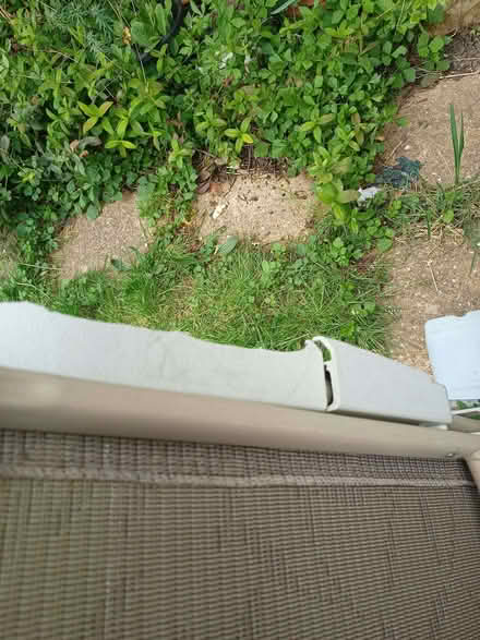 Photo of free Set of 6 Garden Chairs (Pin Green SG2) #2