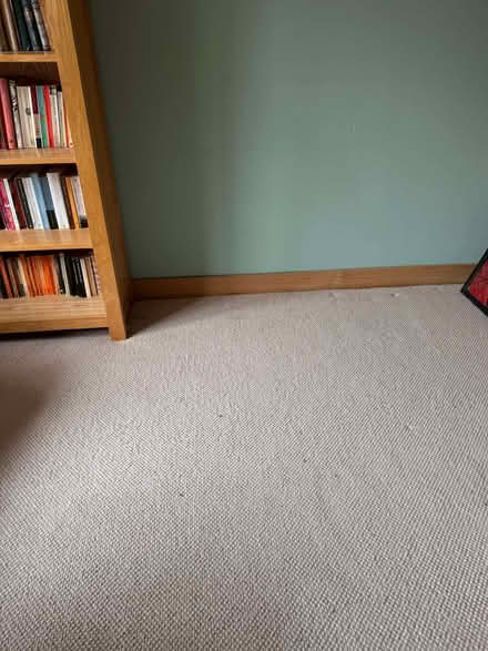 Photo of free Two large sections of loop-pile carpet & underlay (Wallands Park BN7) #4