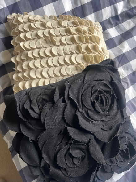 Photo of free 2 cushions (Isleworth TW7) #1