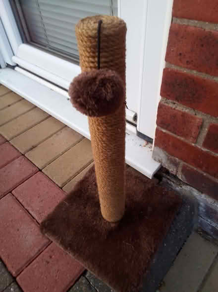 Photo of free Cat scratching post (Rush Green CO15) #3