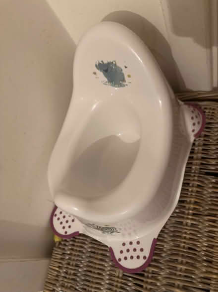 Photo of free Potty and toilet seat (Tuckingmill SP3) #2