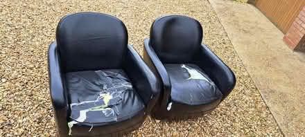 Photo of free Tub chairs (Fordingbridge) #2