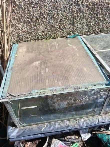 Photo of free Aluminium & glass cold frame (Rayleigh SS6) #1