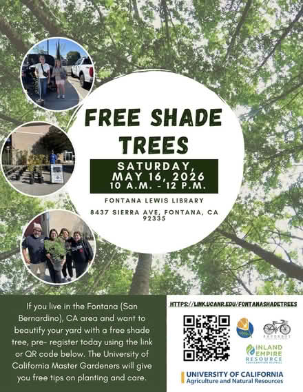 Photo of free Shade Trees Fontana (Fontana Lewis Library) #1