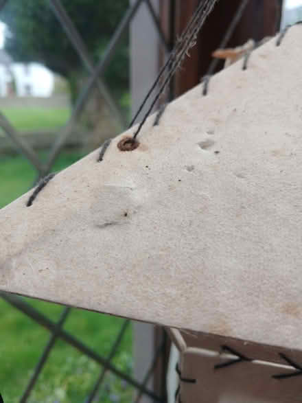 Photo of free Paper lampshade / mobile from Nepal (Blencarn CA10) #3