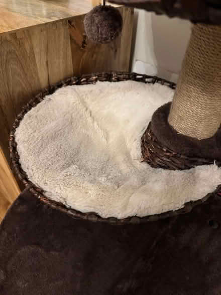 Photo of free Tall cat tree (Heaton, NE6) #4