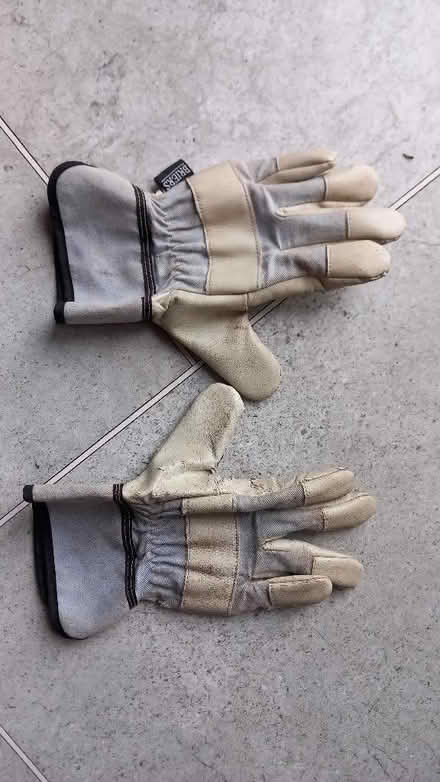 Photo of free Kid's gardening gloves (Craigie PH2) #1