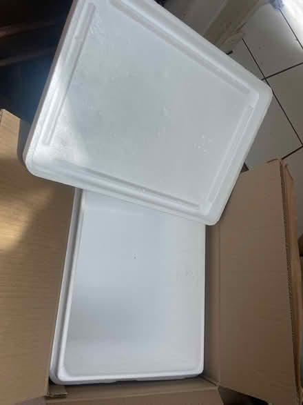 Photo of free A polystyrene box (Rottingdean) #2