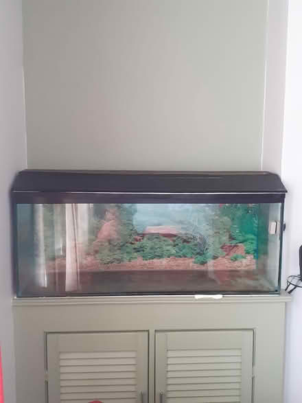 Photo of free Glass aquarium fish tank (Cb24 9nt) #1