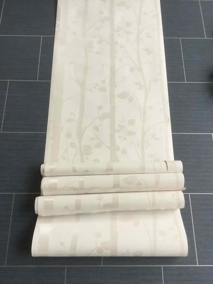 Photo of free Wallpaper end of rolls (Shoreham-by-sea) #1