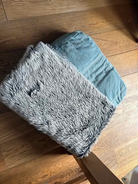 Photo of free Floor cushion & throw (dog) (Rugby) #1