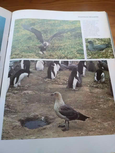 Photo of free BOOKS - box of assorted books (ME16 near E Farleigh station) #4
