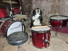 Photo of free Kid's Drum kit (Little Strickland CA10) #1