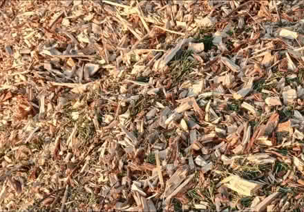 Photo of free wood chippings (Near Bridge of Don) #2