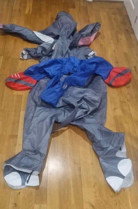 Photo of free Elephant costume (London, SE3) #2
