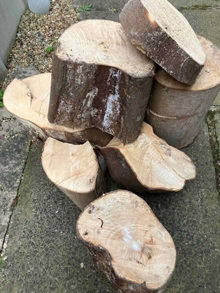 Photo of free Pile of logs for burning (Bramley LS13) #1