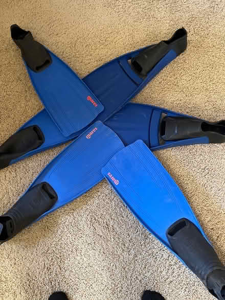 Photo of free Snorkel/swim fins (southwest Sunnyvale) #1