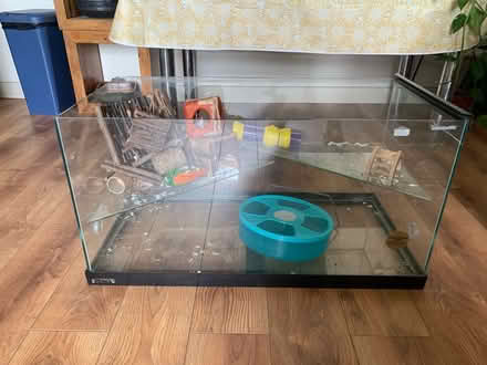 Photo of free Glass terrarium/Hamster cage + toys (Wf17) #3