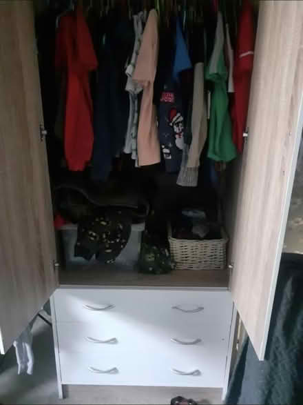 Photo of free White wooden wardrobe (BD22) #2