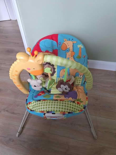 Photo of free Baby boucer (LS17 5BE) #1
