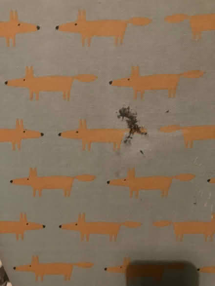 Photo of free Ironing board (Acton W5) #2