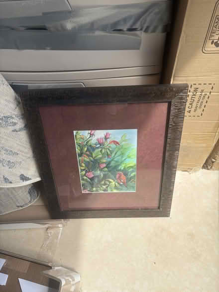 Photo of free spring picture (Beach Creek in Ashland) #2