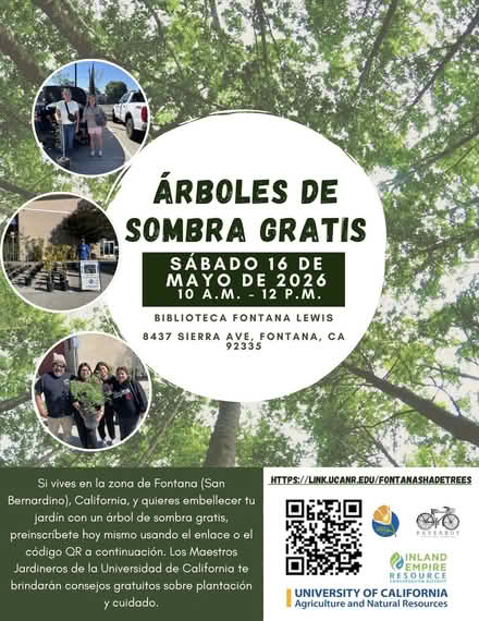 Photo of free Shade Trees Fontana (Fontana Lewis Library) #2