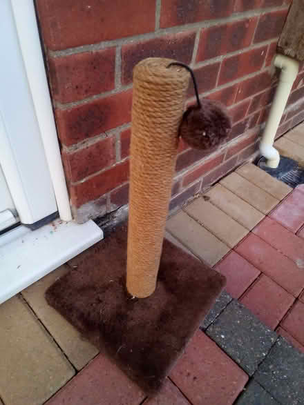 Photo of free Cat scratching post (Rush Green CO15) #4