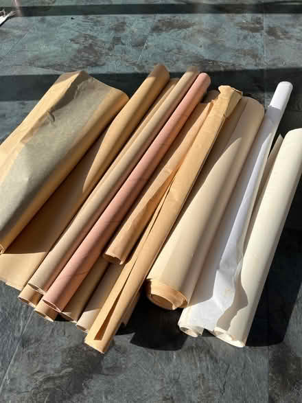 Photo of free Cardboard rolls and paper (Bexhill on sea TN39) #1
